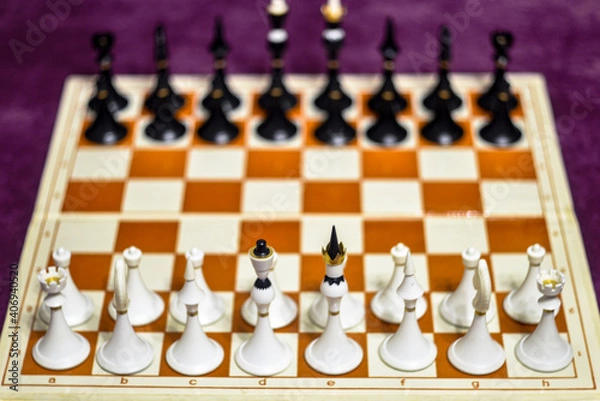 Obraz Beginning in a chess game