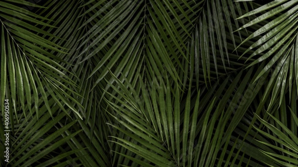 Fototapeta Tropical palm tree background wallpaper 3d render 