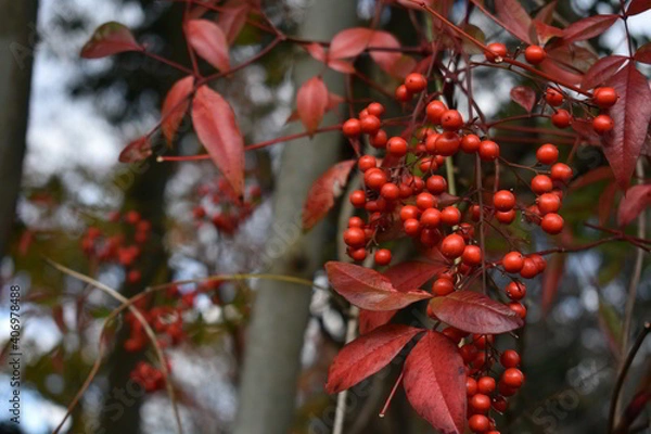 Obraz 滋賀県の良いところ