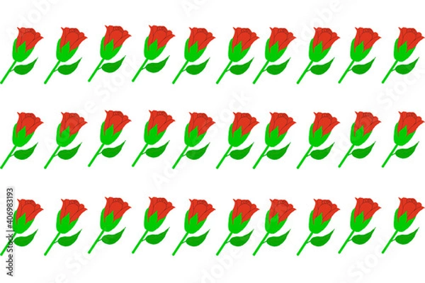 Fototapeta Red roses placed on a white background, patterns.