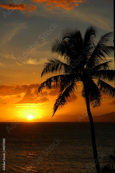 Obraz maui sunset