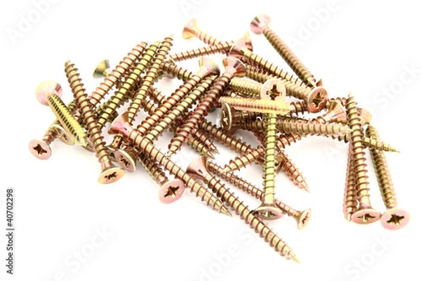 Obraz Wood screws