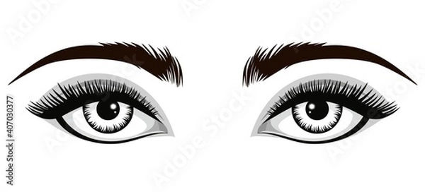 Fototapeta Vector drawing of a woman's makeup. Close-up of eyes, eyelashes, eyebrows. Open view.