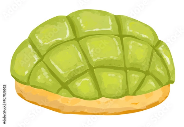 Fototapeta melon bread　Melonpan
メロンパン　緑　ビスケット生地　リアル


