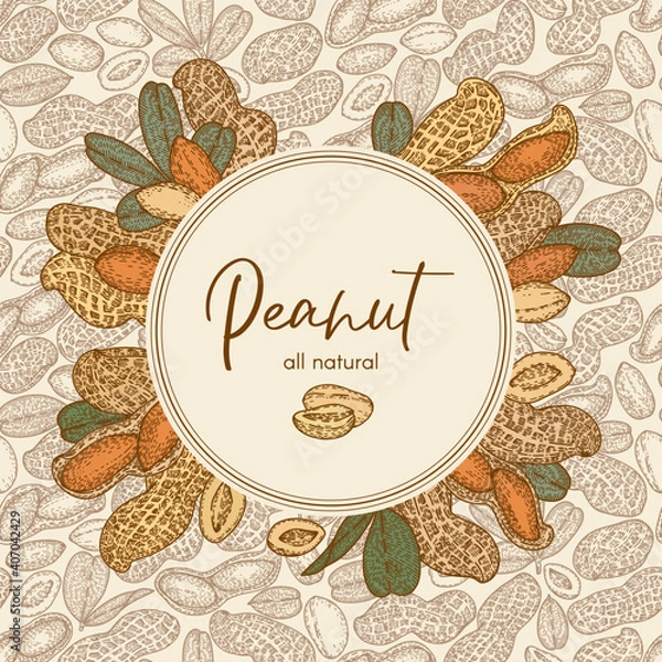 Fototapeta Logo frame with Peanut, nuts and leaves. Graphic hand drawn engraving style. Botanical illustration for packaging, menu cards, posters, prints, label.