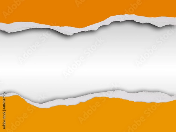 Obraz Ripped paper on white