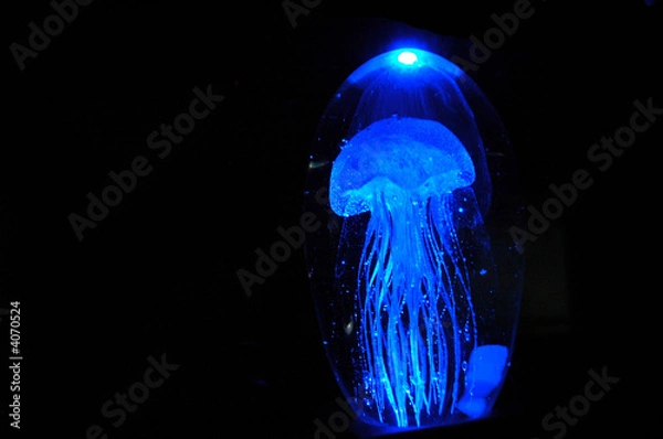 Obraz jellyfish