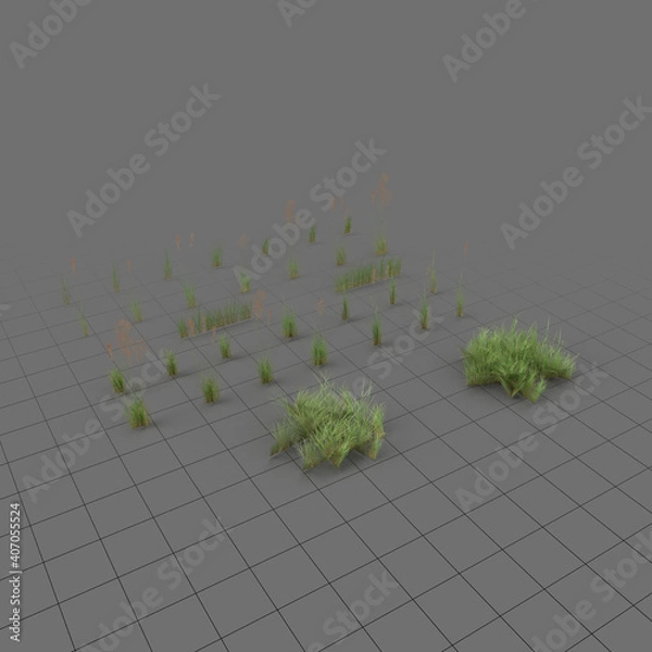 Obraz Lowpoly bentgrass