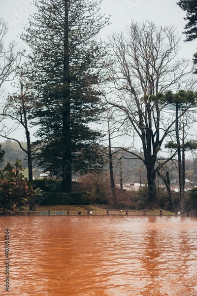 Obraz Parque Terra Nostra - Ilha de São Miguel