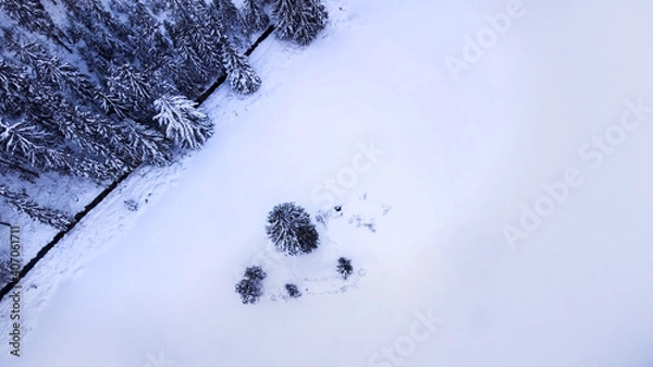 Fototapeta Aerial drone view of winter forest and frozen pond.
