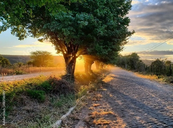 Obraz sunset on the road