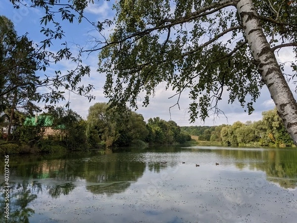 Obraz lake in the forest
