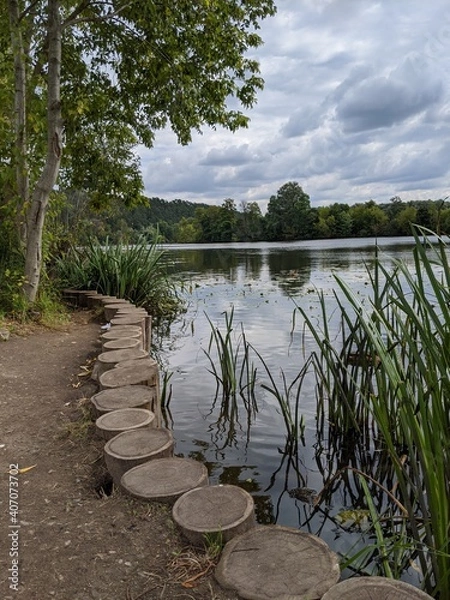 Obraz lake in the forest