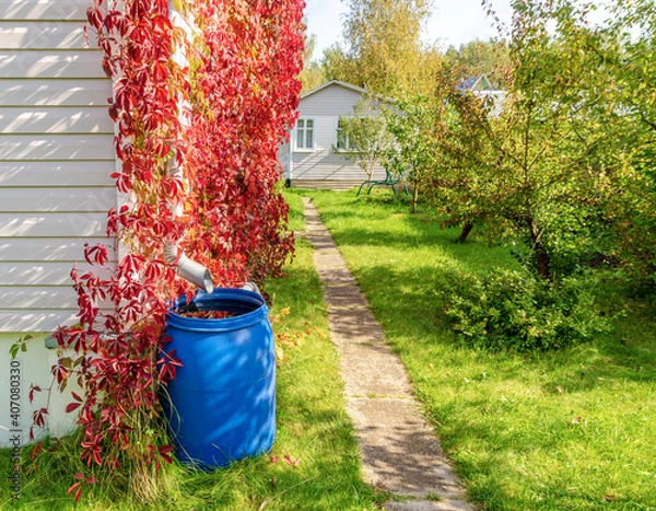 Obraz barrel rain water of the rural house