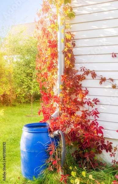 Obraz barrel rain water sun