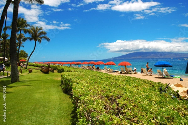 Obraz maui