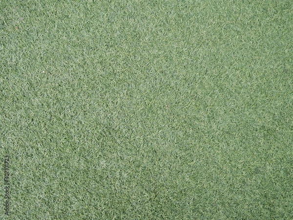 Obraz green artifical turf texture background.