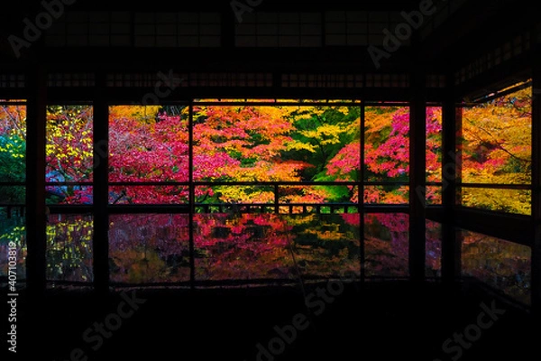 Obraz 【京都】瑠璃光院の紅葉