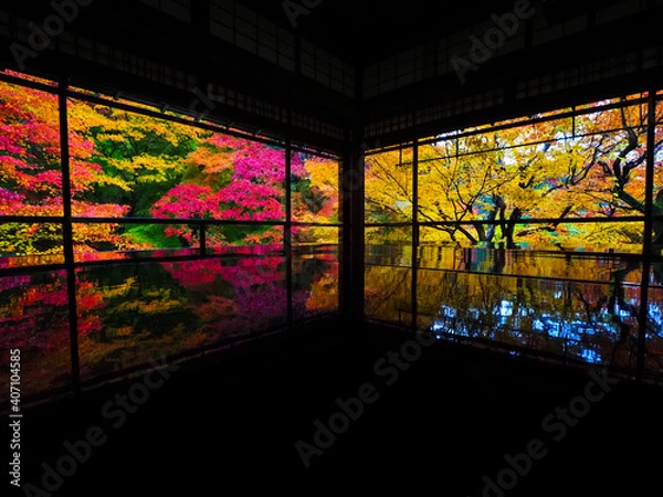 Obraz 【京都】瑠璃光院の紅葉