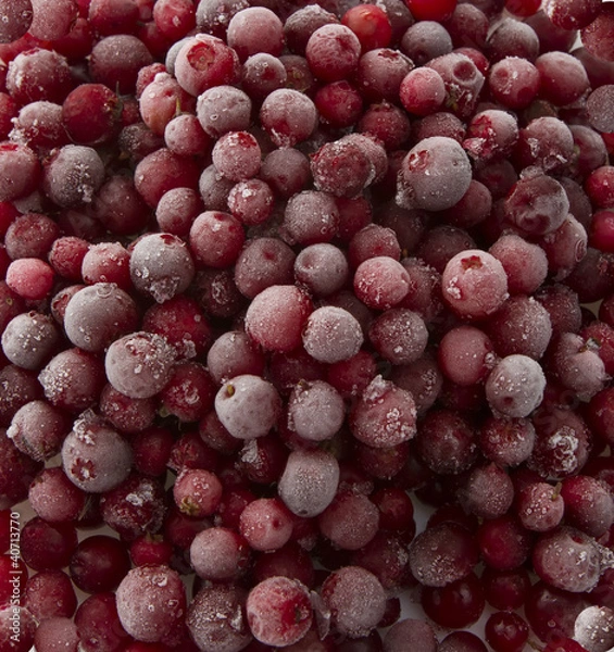 Obraz ягода брусника