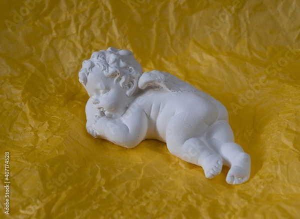 Obraz Little white peacefully sleeping