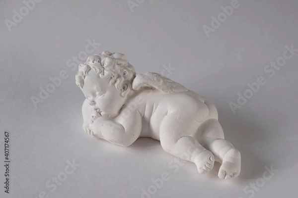 Obraz Little white peacefully sleeping