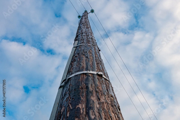 Obraz Poteau EDF Bois