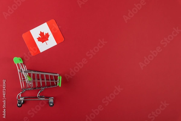 Fototapeta Mini empty supermarket shopping grocery cart, Canada flag on red background