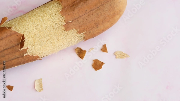 Obraz A dried luffa plant with the skin peeled away revealing the fibrous loofah inside. With pink marble background.