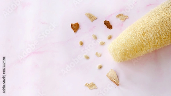 Obraz Dry and clean loofah with some luffa fruit skin pieces scattered around, on a pink marble background.