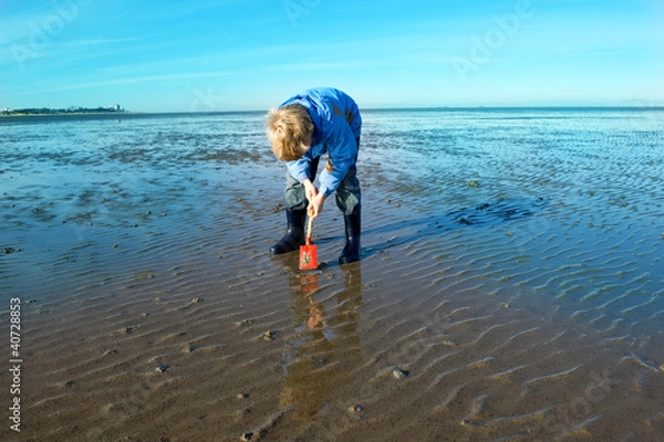 Obraz plaing in thge tidelands