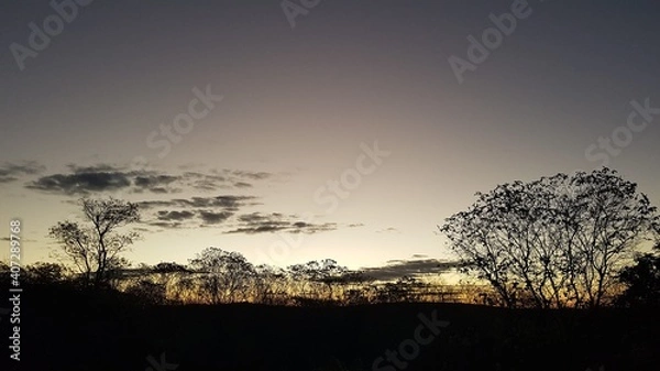 Fototapeta sunset in the field