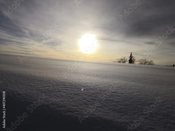Obraz Sonnenschein im Schnee