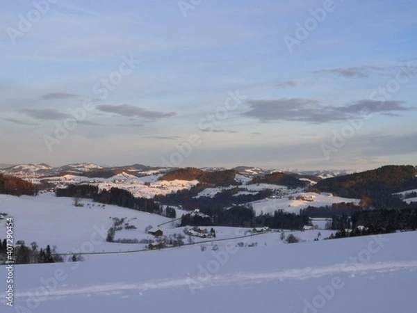 Fototapeta Schneelandschaft