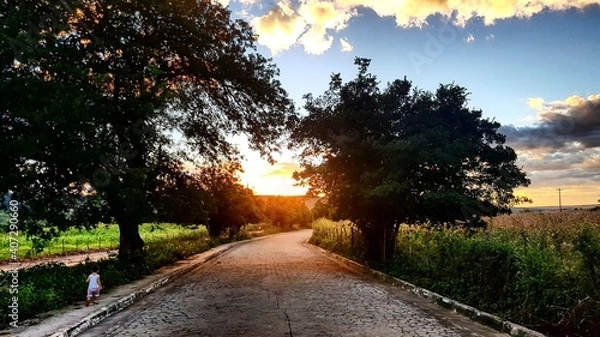 Fototapeta sunset in the park