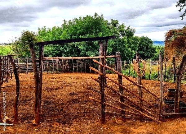 Fototapeta vineyard in region