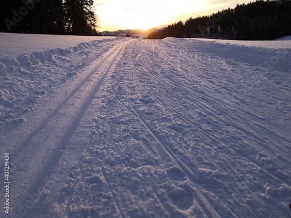 Fototapeta Langlaufloipe