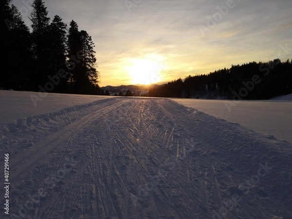 Fototapeta Langlaufloipe