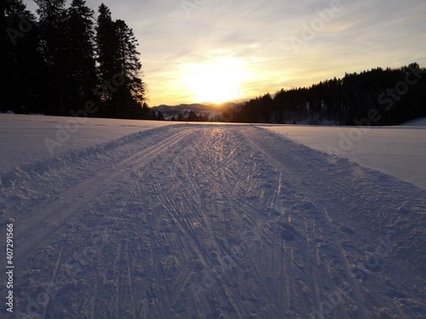 Fototapeta Langlaufloipe