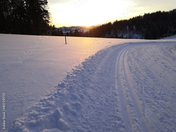 Fototapeta Langlaufloipe