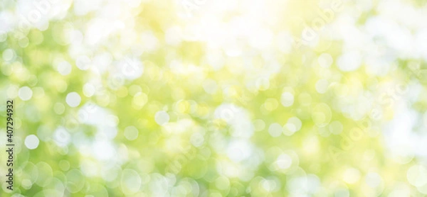 Fototapeta Fresh healthy green bio background with abstract blurred foliage and bright summer sunlight and a central copyspace for your text or advertisment.