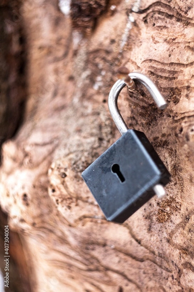 Obraz 
open lock hanging on a tree