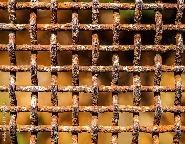 Fototapeta Rusty fence texture, colorful macro