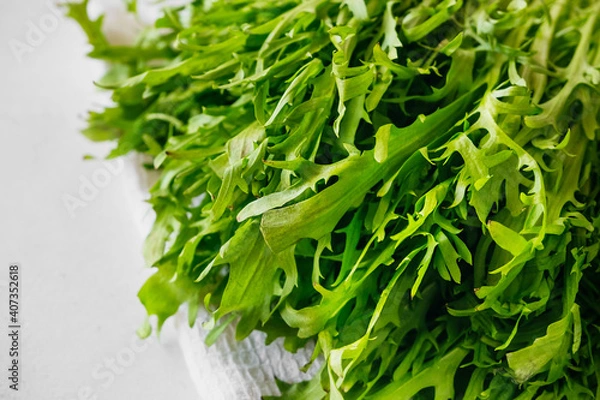 Fototapeta fresh green beautiful dandelion greens for food. proper nutrition, simple diet recipes