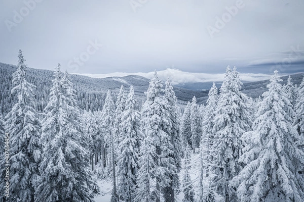 Fototapeta Krokonose mountains is located in northeastern Bohemia and in the south of the Polish part of Silesia. The highest mountain in the Giant Mountains and the whole of the Czech Republic is Snezka 1603m.