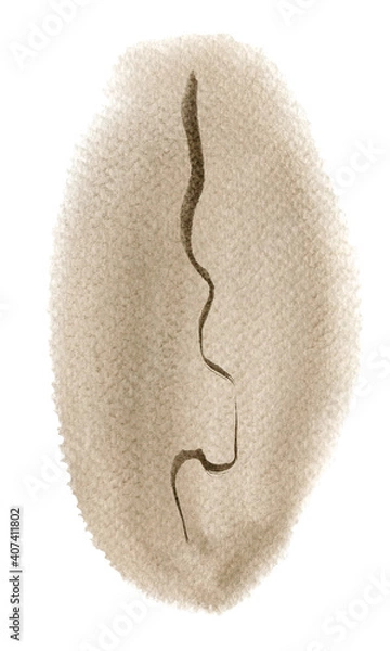 Fototapeta Watercolor abstract hand drawn illustration with a sepia textured shape, an umbra flake. Sepia and umbra picture on the white background, portrait orientation.