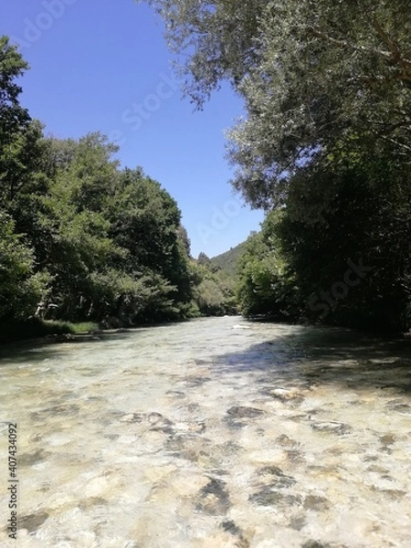 Obraz river in the forest
