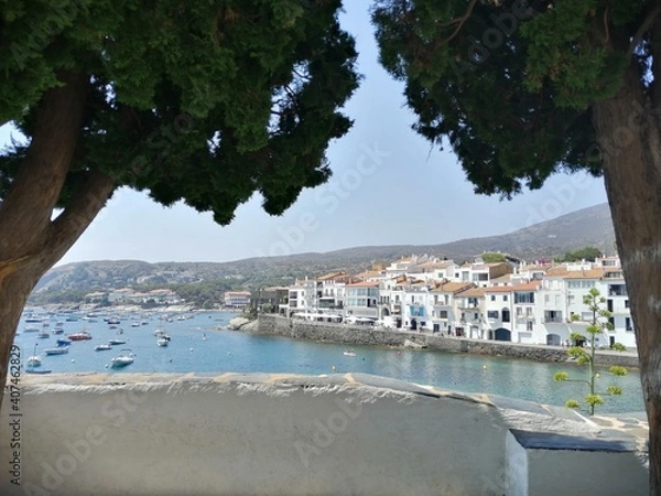 Fototapeta panorama boisé