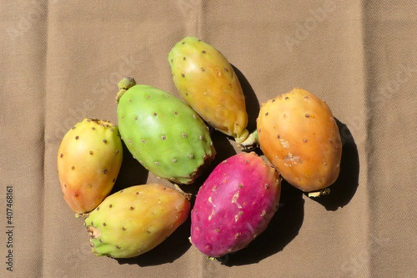 Fototapeta Juicy and colorful prickly pear fruits with small thin spines on the skin
