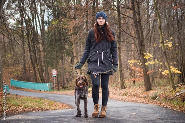 Fototapeta smiling authentic girl with her dog Bohemian Wire-haired Pointing Griffon breed is walking through nature. Candid portrait of young woman with man's best friend. Binary portrait in nature
